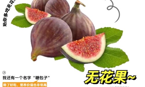 野槐花泡水喝的功效-野槐花药用网 - 网站提供野槐花泡水喝的功效小常识、野槐树学名