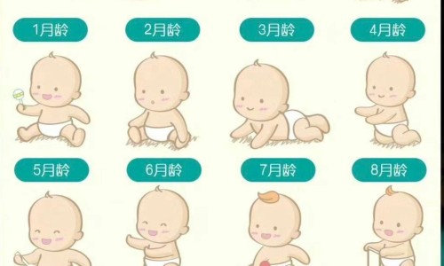 野山槐中药-野槐花药用网 - 网站提供野槐花泡水喝的功效小常识、野槐树学名