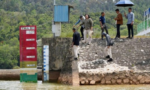 野槐树-野槐花药用网 - 网站提供野槐花泡水喝的功效小常识、野槐树学名